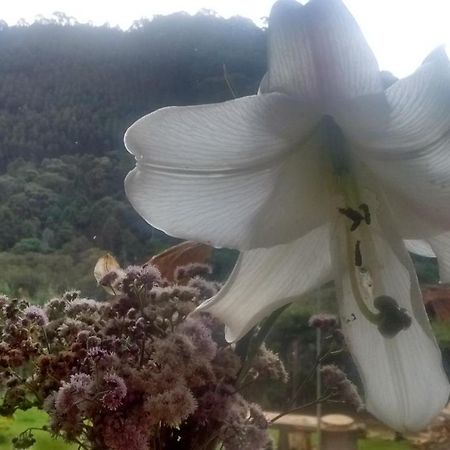 Morada Rancho Da Lua Bed & Breakfast Monte Verde  Bagian luar foto