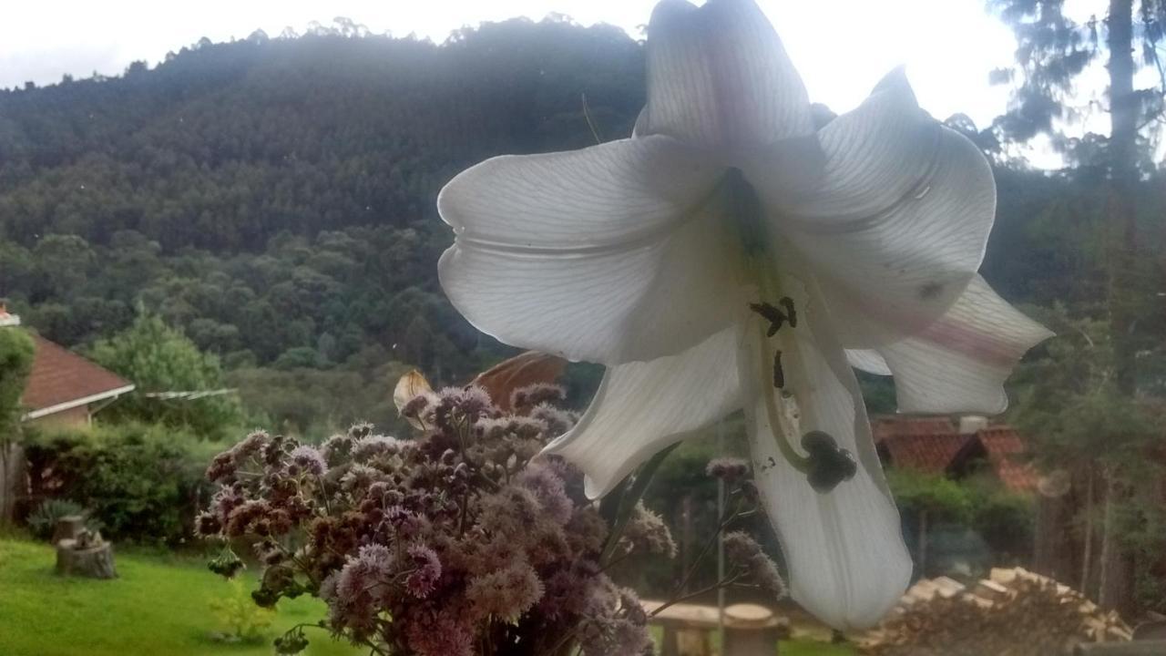 Morada Rancho Da Lua Bed & Breakfast Monte Verde  Bagian luar foto
